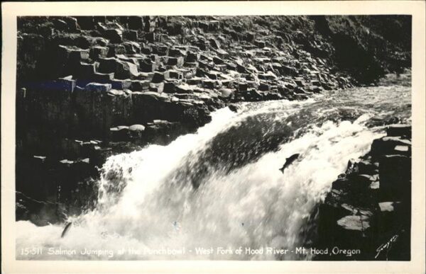 Fischerei Lachs Salmon Hood River Oregon
