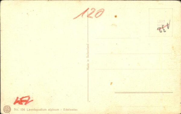 Edelweiss Künstlerkarte No 194 – Bild 2