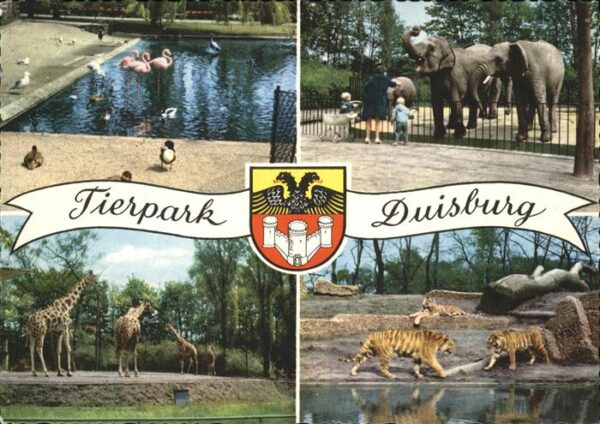 Zoo Duisburg Elefanten Giraffen Tiger Flami