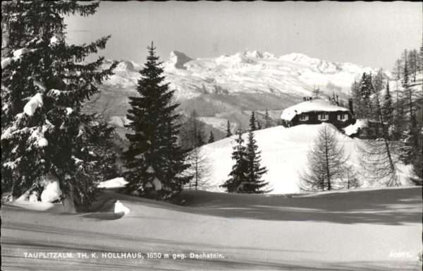 Tauplitzalm Hollhaus Dachstein