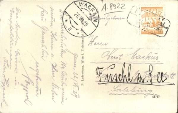 Gams Hieflau – Bild 2
