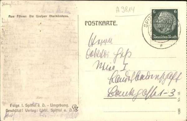Kaernten Unterer Mühldorfersee kleine Leier Reis – Bild 2