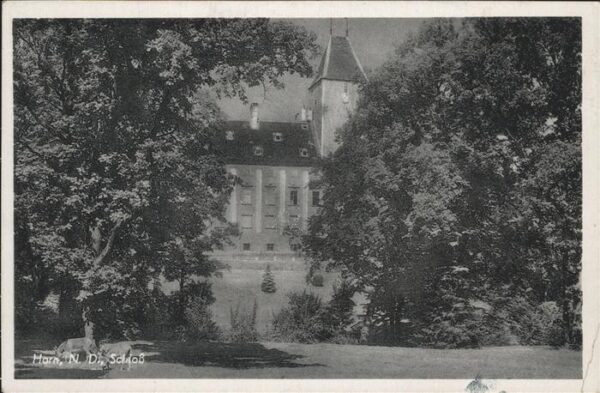Horn Niederoesterreich Schloß