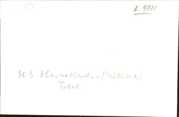 Obervellach Kaernten Totale – Bild 2