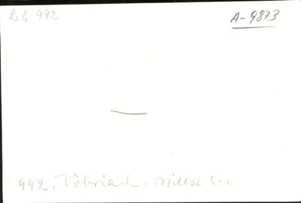 Doebriach Millstaettersee – Bild 2
