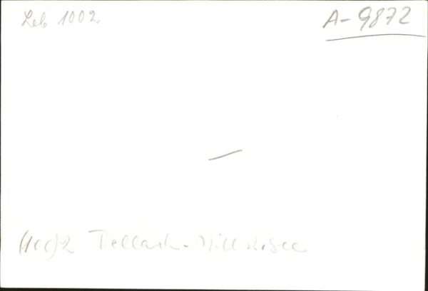 Dellach Drautal – Bild 2
