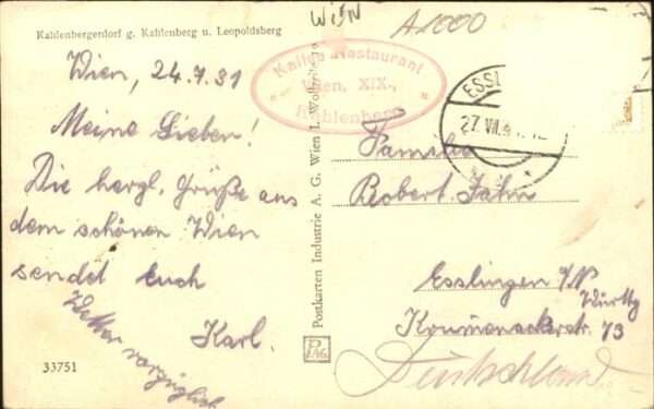 Dampfer Seitenrad Kahlenbergerdorf – Bild 2
