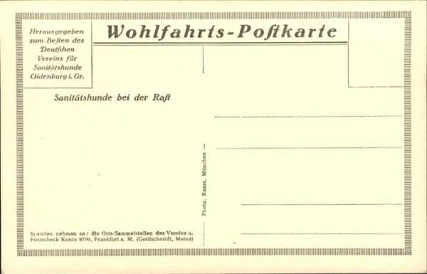 Hunde Sanität – Bild 2