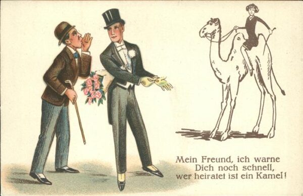 Kamel  Camel Chameau Zylinder Rosen