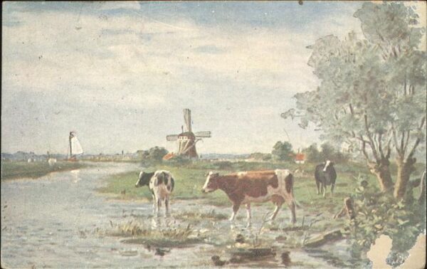 Kuehe Windmühle Künstlerkarte Serie 257