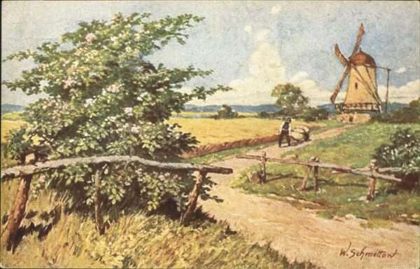 Windmuehle Künstlerkarte W Schmelton Peluba Nr 321