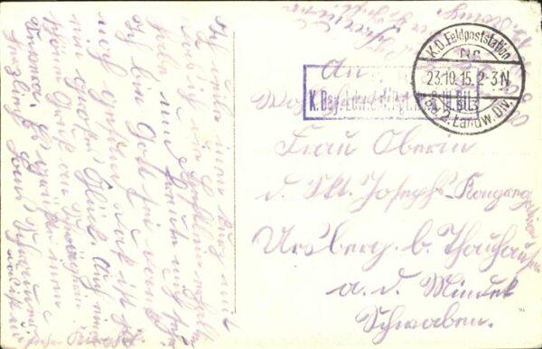 Tod Waldfriedhof – Bild 2