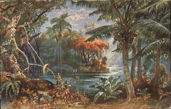Kamerun Afrika Landschaft Kolonialkriegerdank