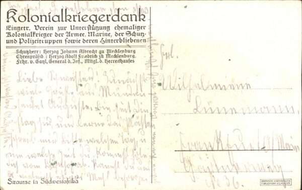 Voegel Strausse Südwestafrika Kolonialkriegerd – Bild 2