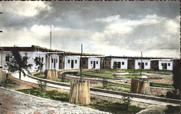 Hassi Messaoud Base de Maison Verte Allee et quartier