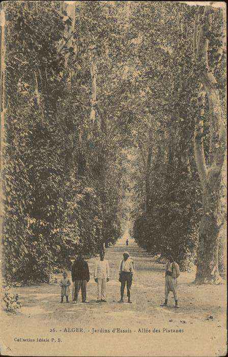 Alger Algerien Jardin Essai Allee des Platanes