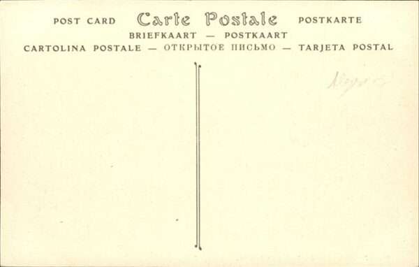 Batna La Porte de Constantine Kamele – Bild 2