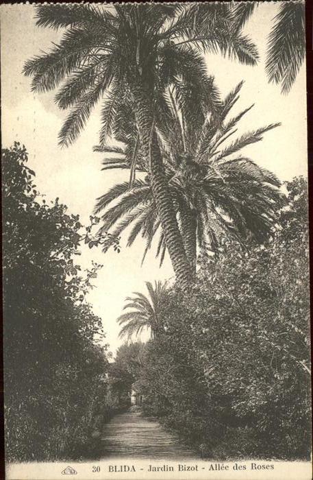 Blida Algerien Jardin Bizot Allee des Roses