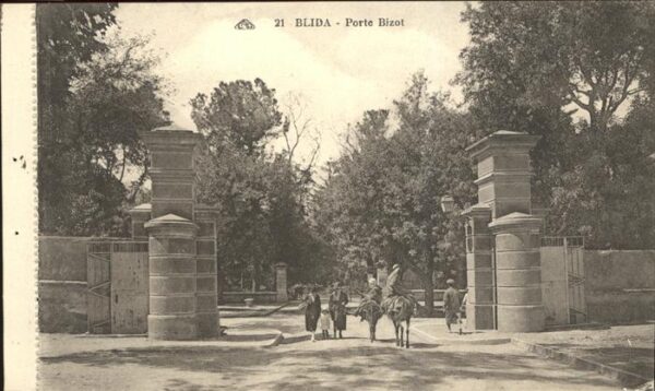 Blida Algerien Porte Bizot Esel
