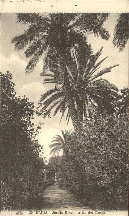 Blida Algerien Jardin Bizot Allee des Roses
