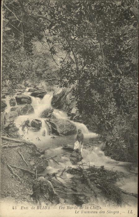 Blida Algerien Les Gorges de la Chiffa Le Ruisseau des