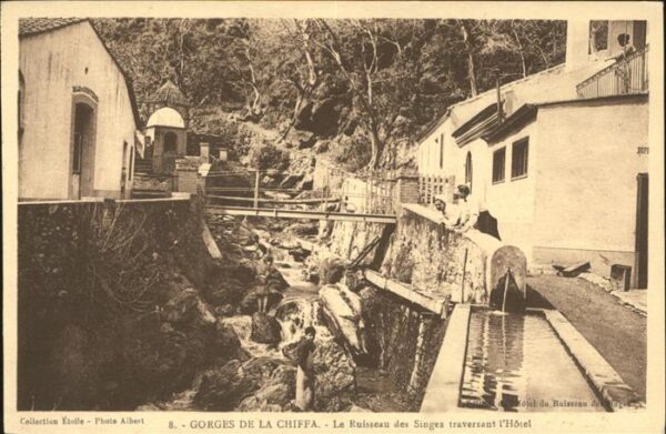 Blida Algerien Les Gorges de la Chiffa Le Ruisseau des