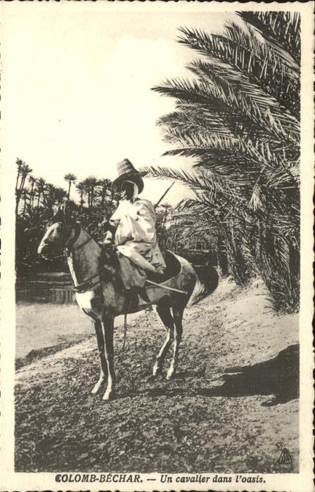 Colomb-Bechar Un cavalier dans l oasis Palmen