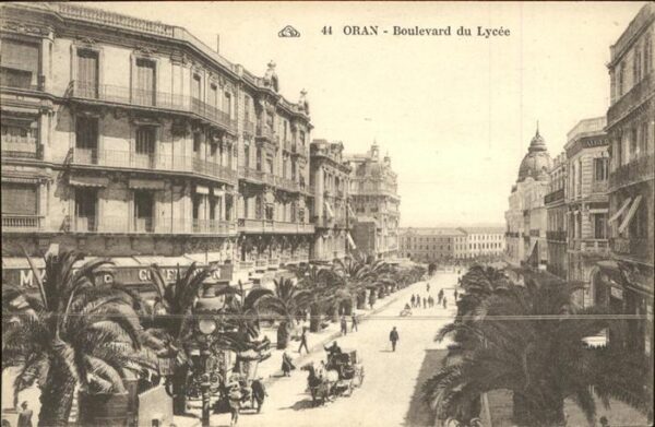 Oran Algerie Boulevard du Lycee Pferdekutsche