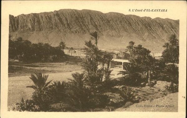 El Kantara L Oued d El_Kantara Palmen
