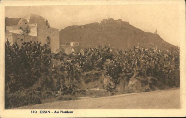 Oran Algerie Au Planteur