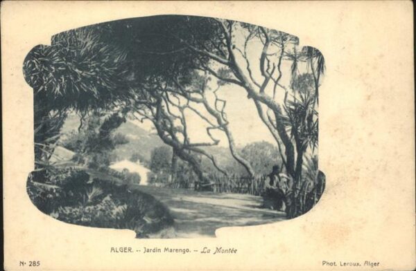 Alger Algerien Jardin Marengo La Montee