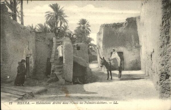 Biskra Habitations Arabes dans l Oasis des Pal
