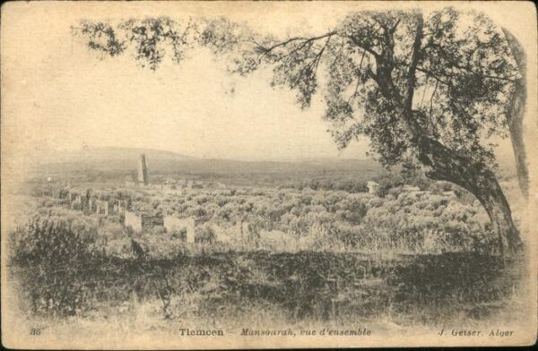 Tlemcen Mansourah vue d ensemble