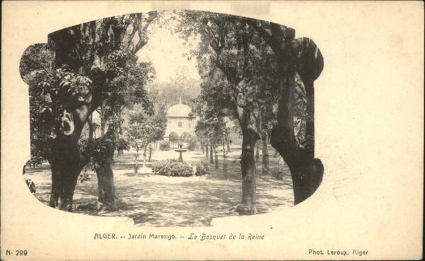 Alger Algerien Jardin Marengo Le Bosquet de la Reine B