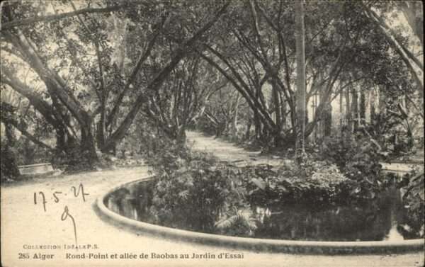 Alger Algerien Jardin essai rond_point et allee de Bao