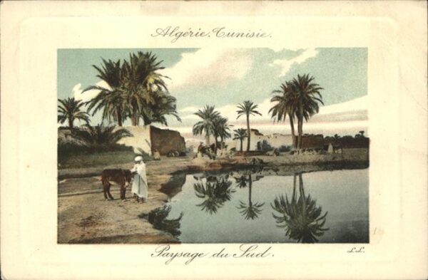 Algerien Paysage du sud Esel