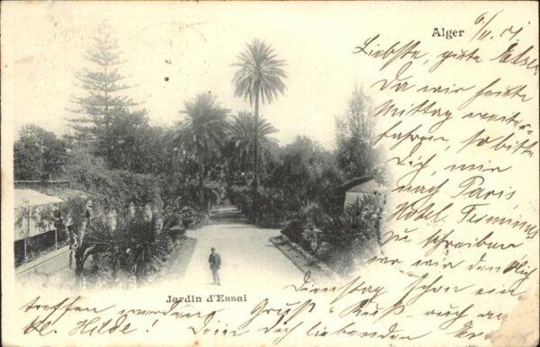 Alger Algerien Jardin essai
