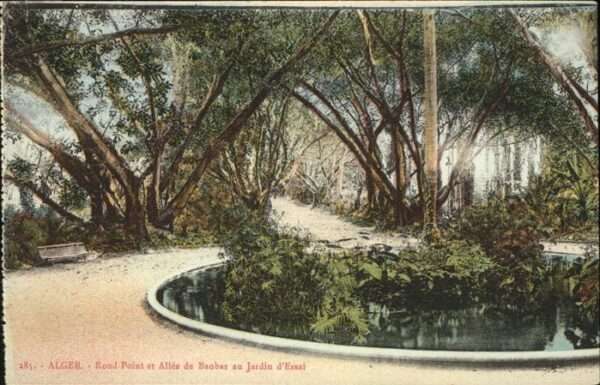 Alger Algerien Jardin essai rond_point et allee de Bao