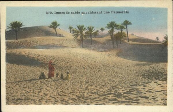 Algerien Dunes de sable envahissant une Palmerai