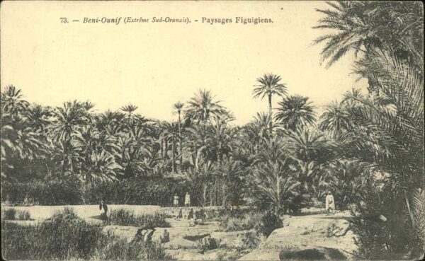 Beni Ounif Paysages Figuigiens