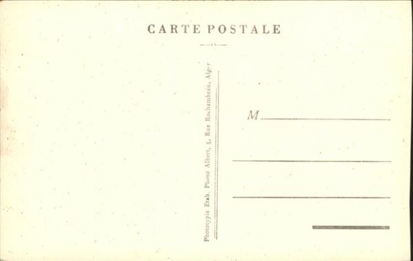 Bou Saada Hotel du Caid et caravane Kamel – Bild 2