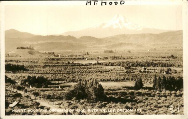 Mount Hood Parkdale Hood River Valley