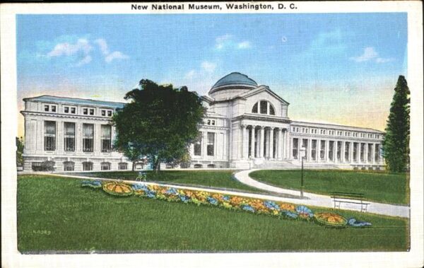 Washington DC New National Museum
