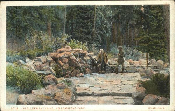 Yellowstone National Park Appolinaris Spring