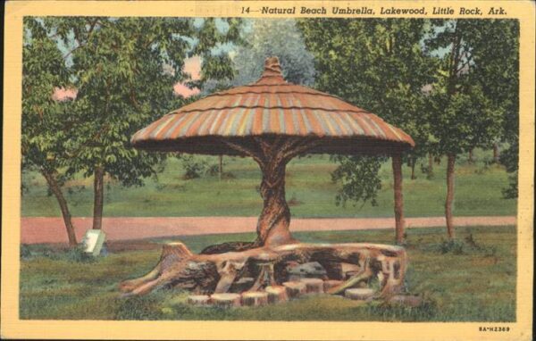 Little Rock Arkansas Natural Beach Umbrella Lakewood