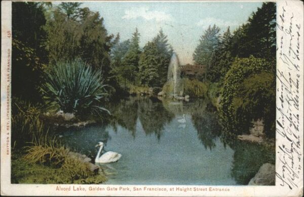 San Francisco California Alvord Lake Golden Gate Park Swan
