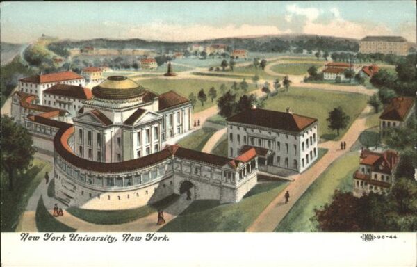 New York City New York University