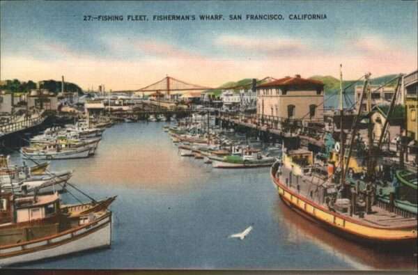 San Francisco California Fishing Fleet Fisherman'S Wharf