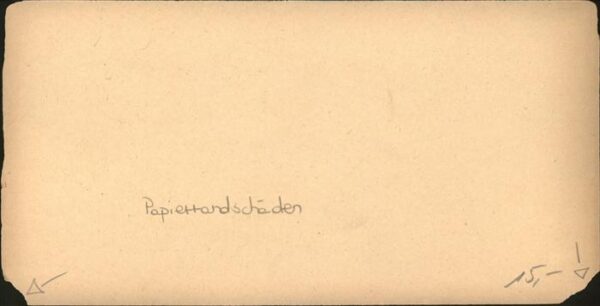 Chicago Illinois University 1891 – Bild 2