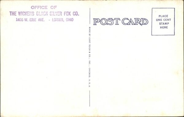 Lorain Residence of Mr. and Mrs. George B. Wic – Bild 2